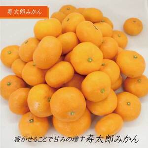 みかん「寿太郎」5kg [sf001-063]
