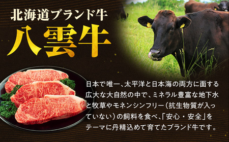 【ふるなびWEEK対象】八雲牛 焼肉セット 総重量 600g 牛肉 もも カルビ 切り落とし 赤身