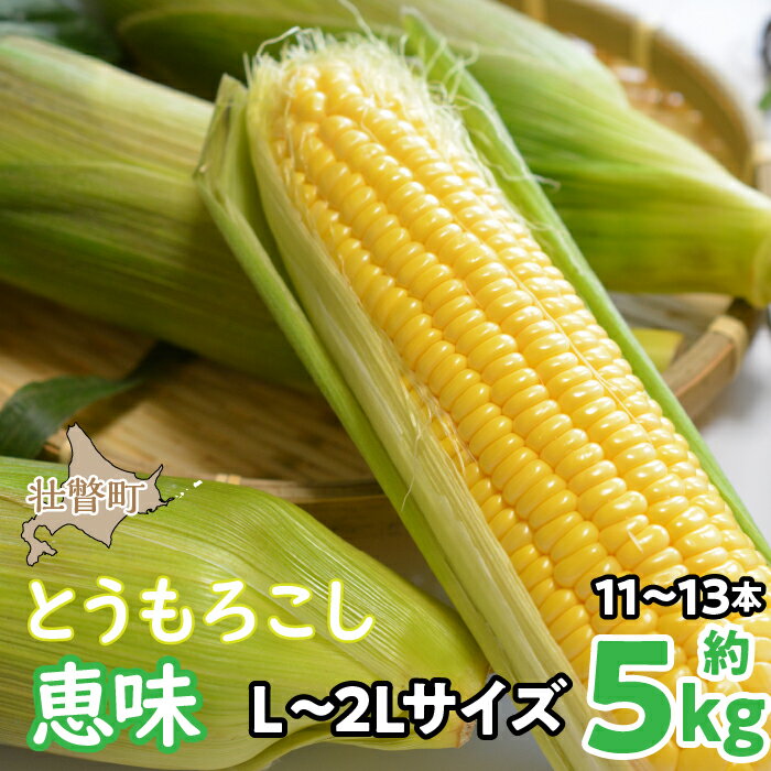 【ふるさと納税】＜2025年8月初旬よりお届け＞約5kg！北海道壮瞥産とうもろこし（恵味）【L～2Lサイズ 11～13本】【 ふるさと納税 人気 おすすめ ランキング トウモロコシ とうもろこし 恵味 野菜 甘い 北海道 壮瞥町 送料無料 】SBTP002
