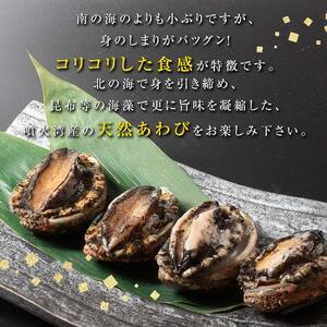 【先行予約】天然 冷凍 あわび 300g（大サイズ・2～3個）（11月～12月末までに発送）＜物産館運営振興会((株)ハマグチ)＞ あわび 鮑 アワビ 海産物 魚貝類 ふるさと納税 北海道 森町 mr