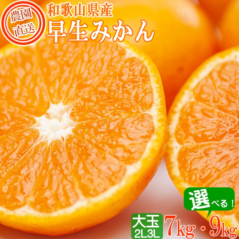 【ふるさと納税】【選べる内容量】早生みかん7kg／9kg(大玉2L・3Lサイズおまかせ) 《ご家庭用》ちょっと訳あり 和歌山県より農園直送！まごころ産直みかん【北海道・沖縄県・一部離島配送不可】大きい 蜜柑 温州みかん わけあり 訳アリ | 果物 フルーツ 柑橘 わせ 早生