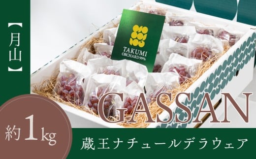 【月山 GASSAN】蔵王ナチュールデラウェア 山形のデラウエア TAKUMI ORCHARD 99% 贈答 L以上 約1kg 山形 山形県 山形市 フルーツ 果物 くだもの 送料無料 ぶどう 葡萄 ブドウ デラウェア 減農薬【令和8年産先行予約】FS25-119