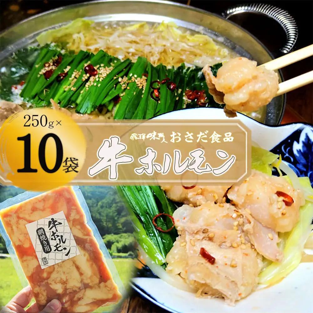 【飛騨 味職人】牛ホルモン 網焼き用（250g×10袋）【57-17】