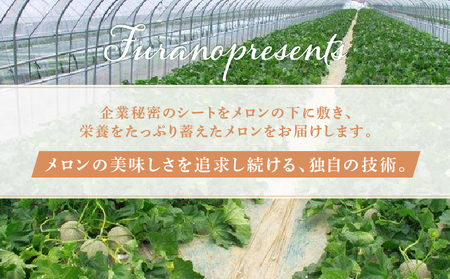 【2025年7月～発送】北海道 富良野市 赤肉 メロン 2.2kg×4玉 キングルビー ティアラ 大玉 品種指定不可 フルーツ ふらの (フラノプレゼンツ)