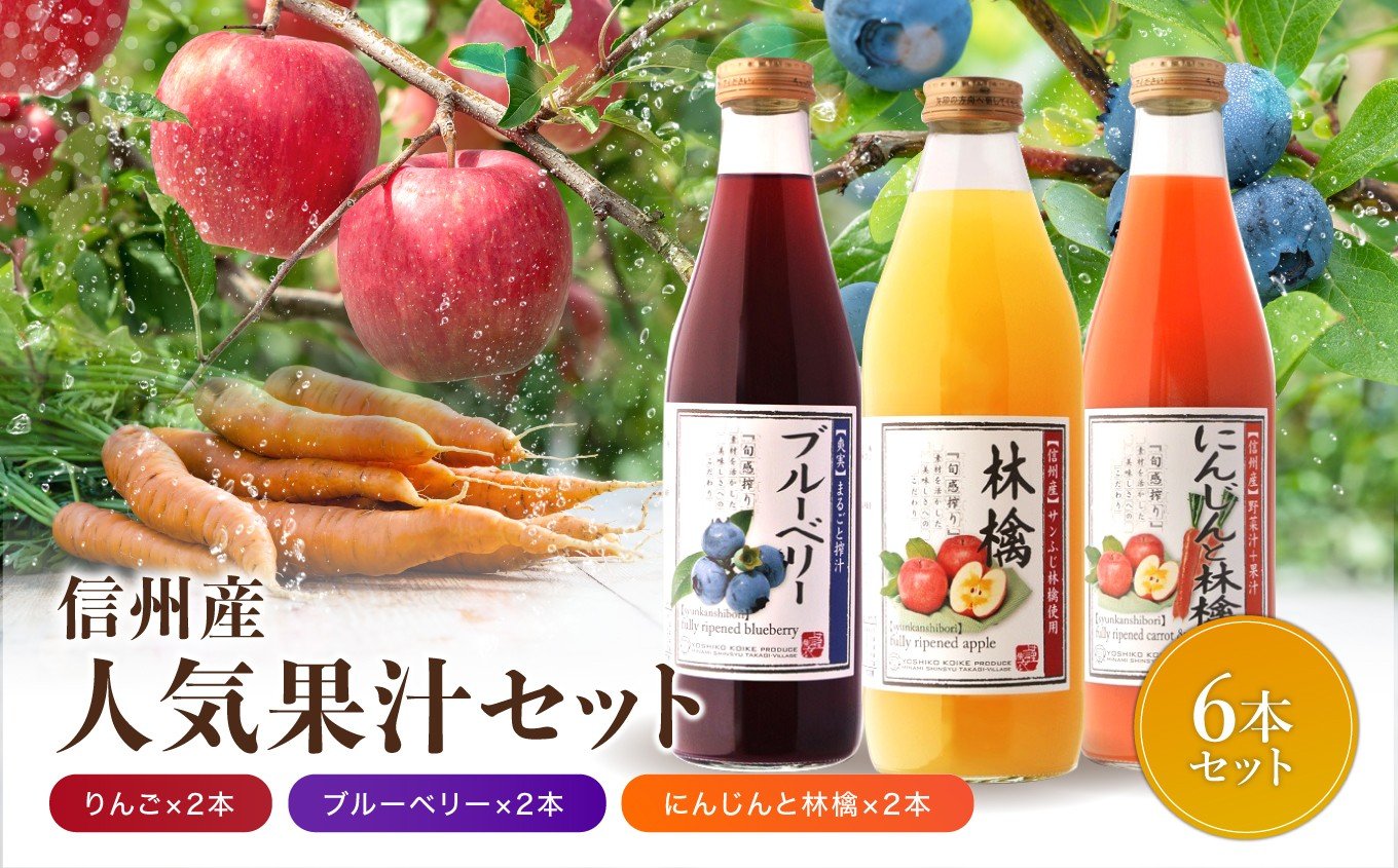 
            人気 果汁 ジュース 6本 セット | 小池手造り農産加工所 りんご 人参 ブルーベリー  国産 手造り てづくり 健康 飲料 長野県 飯田市
          