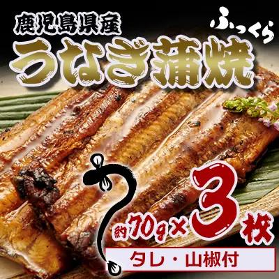 うなぎ 鹿児島県産　うなぎ蒲焼　約70g×3枚【タレ・山椒付】 