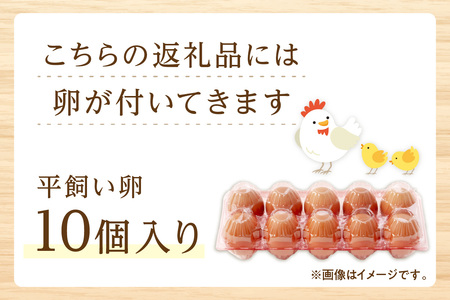 野菜 定期便 6回（卵付き）【アスカ有機農園】京の旬野菜セットL平飼い卵付き（栽培期間中農薬・化学肥料不使用）＜京都 オーガニック アクション加盟＞京野菜セット・野菜 詰め合わせ・栽培期間中 無農薬・