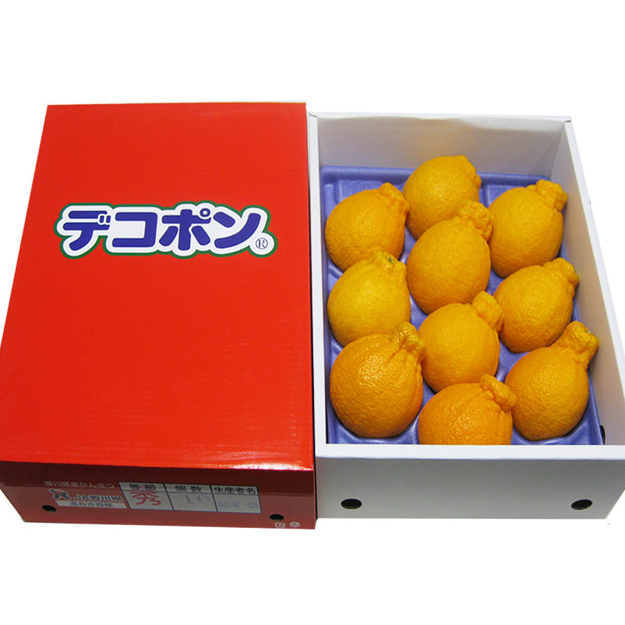 ハウス不知火2.8kg化粧箱