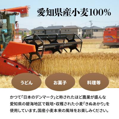 ふるさと納税 碧南市 【小麦粉】愛知県産 きぬあかり 国産 薄力粉 1kg×5袋(計5kg) 定期便6回　H008-260 |  | 02
