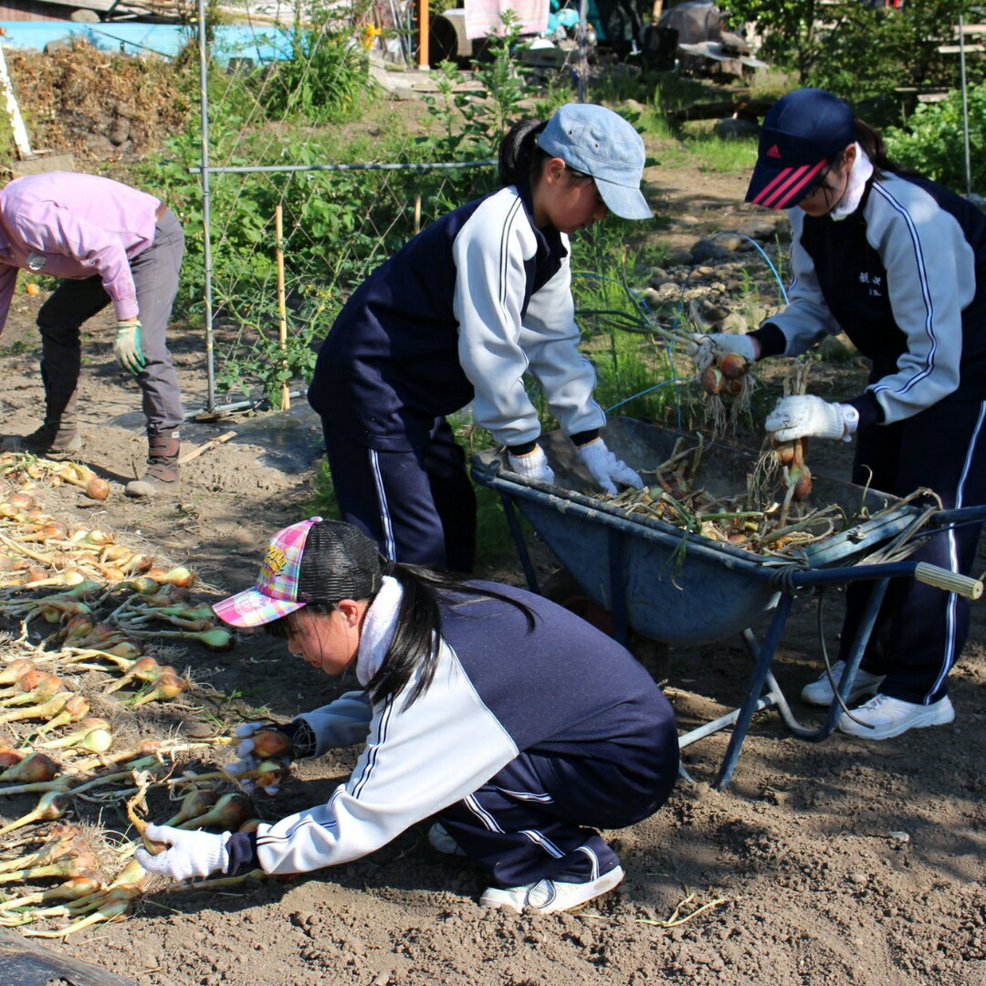【ふるさと納税】1泊2日農泊体験コース