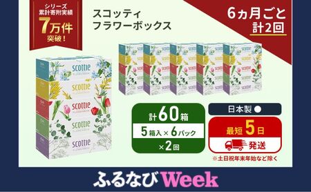 【ふるなびWEEK対象】定期便 ティッシュ スコッティ フラワーボックス 60箱 (5箱×6パック)《6ヶ月ごと計2 回》 ティッシュペーパー ティシューペーパーボックスティッシュ ティシュペーパー 防災 災害 日用品 生活用品 宮城県 岩沼市