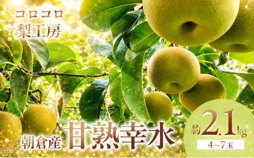 
                  梨 幸水 まるで食べる梨ジュース！！甘熟 幸水梨 約2.1kg 4～7玉入 配送不可 離島 ナシ 果物 フルーツ 先行予約 
                