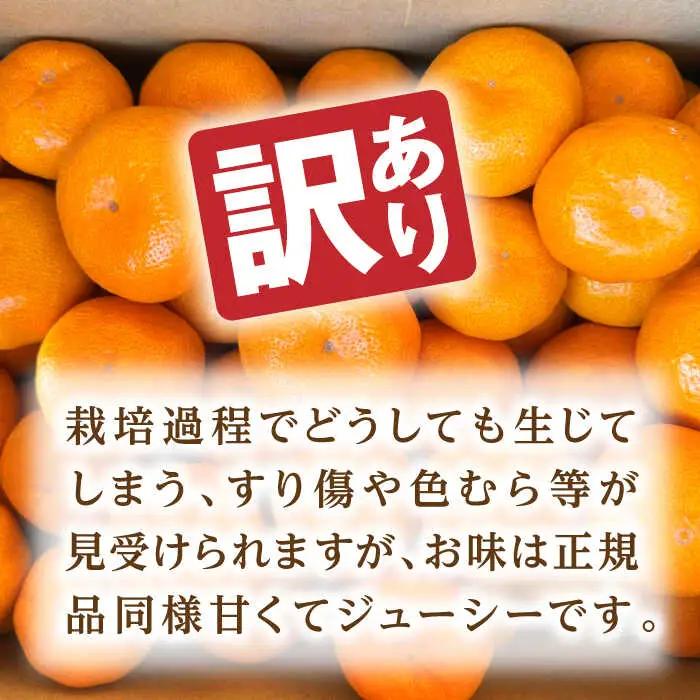 【先行予約】 訳あり 温州みかん 『青島』 約5kg S~Lサイズ 【奥村果実園】[ZFK001]