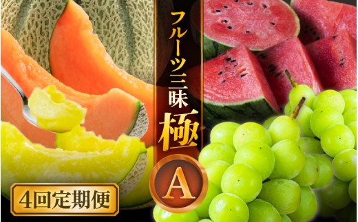【先行予約】【定期便 4回コース】  坂井市フルーツ三昧！！「極」 A 【2026年6月上旬以降順次発送開始予定】【定期便 くだもの 果物 フルーツ お楽しみ スイカ 西瓜 ピノガール マルセイユメロン シャインマスカット ブドウ 葡萄 アールスメロン 贈答 ギフト 贈り物】 [H-3202]