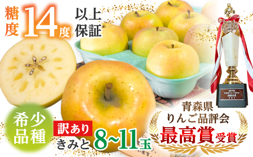 【希少品種】「きみと」約3kg・糖度14度以上保証・訳あり家庭用りんご【配送不可地域：離島】