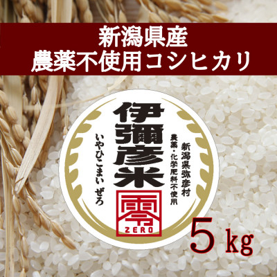 
＜新米受付＞令和6年産 栽培期間中農薬不使用コシヒカリ「伊彌彦米零(ぜろ)」5kg【1351275】
