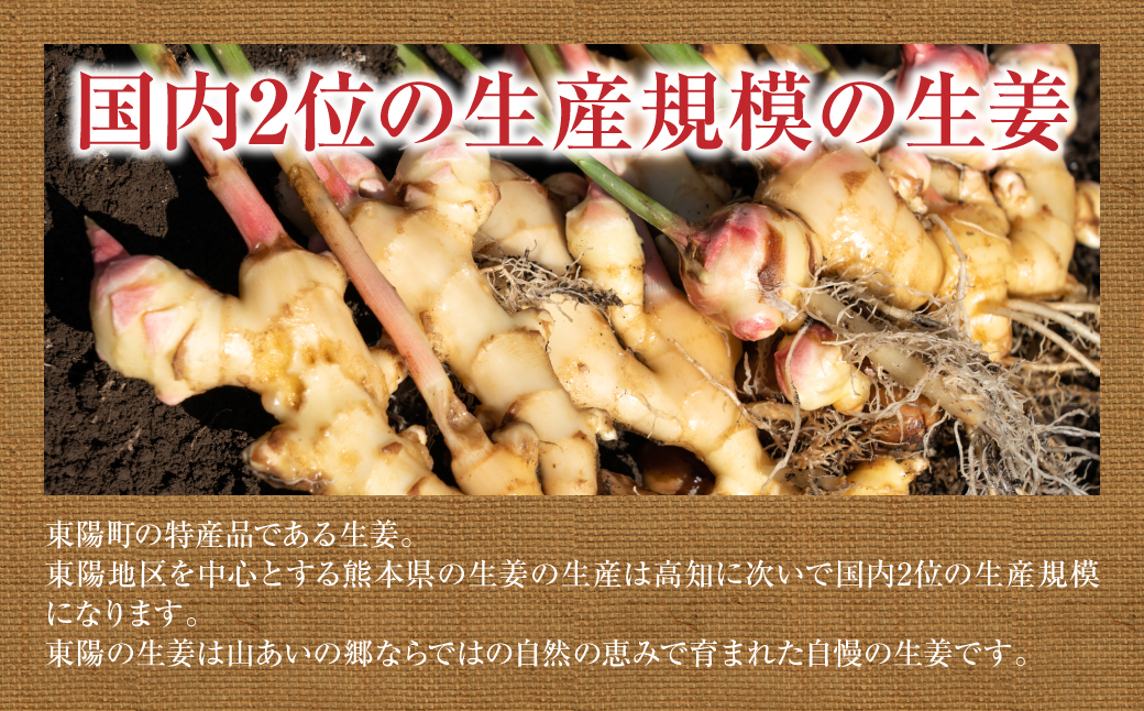 【先行予約】八代市東陽町産 新生姜1kg【2025年9月上旬より順次発送】