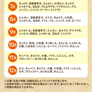 【毎月お届け】むなかた旬のお任せセット 野菜7～9品 _HB0173 | 野菜セット 定期便