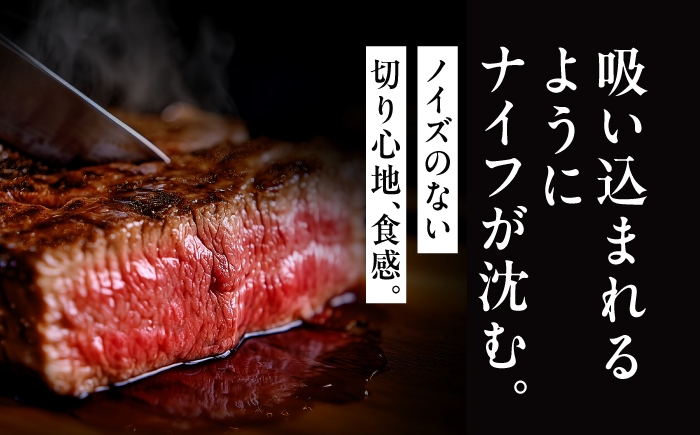 牛肉 肉 黒毛和牛 佐賀牛 和牛 佐賀 牛 A4 国産 料理 焼肉 冷凍 保存 ヒレ ヒレステーキ スピード配送