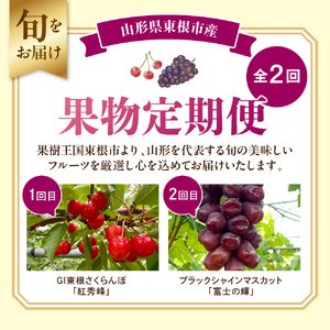 【2026年先行予約 全2回 定期便】東根市産 さくらんぼ「紅秀峰」、ブラックシャインマスカット「富士の輝」 果物定期便　hi074-018　令和8年産 2026年産 ふるさと納税 紅秀峰 さくらんぼ