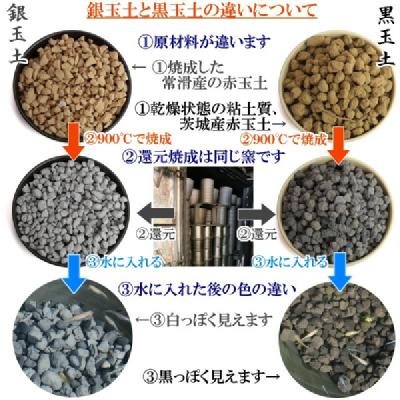 ふるさと納税 碧南市 銀玉土1リットル めだか鉢 金魚鉢 メダカ 鉢 陶器 睡蓮 多孔質土　H100-084 |  | 02
