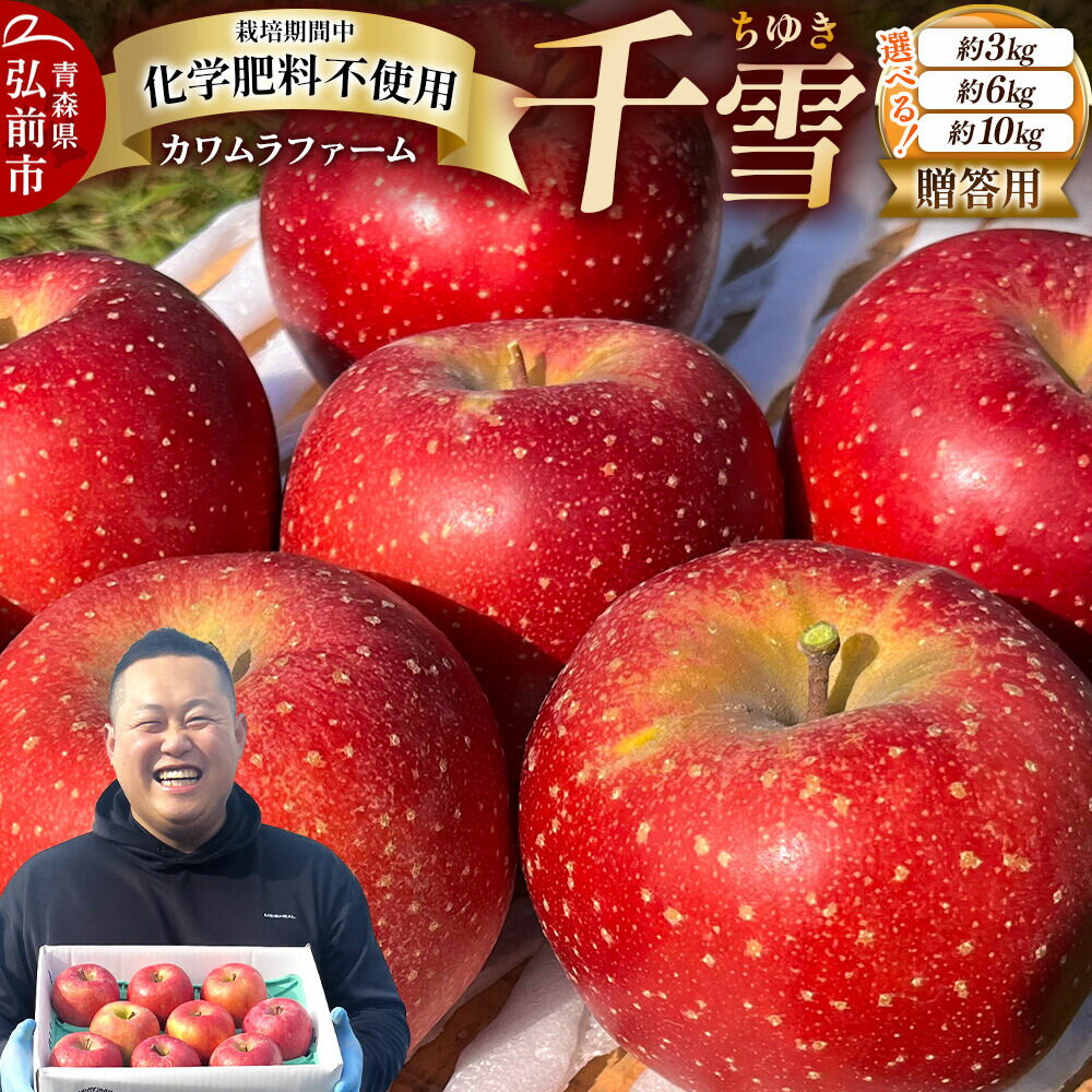 【ふるさと納税】【26年10月下旬〜発送】りんご 千雪【贈答用】【選べる約 3kg／6kg／10kg】カワムラファーム 青森 果物 フルーツ 林檎 リンゴ くだもの [先行受付 アップル おいしい ちゆき お歳暮 お中元 ギフト プレゼント 果実 果物]