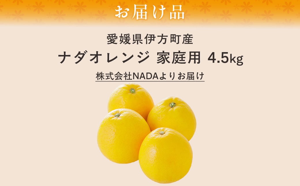 【先行予約】【農家直送】愛媛県産 ナダオレンジ 家庭用 4.5kg（2025年5月中旬より順次発送予定） IKTC006