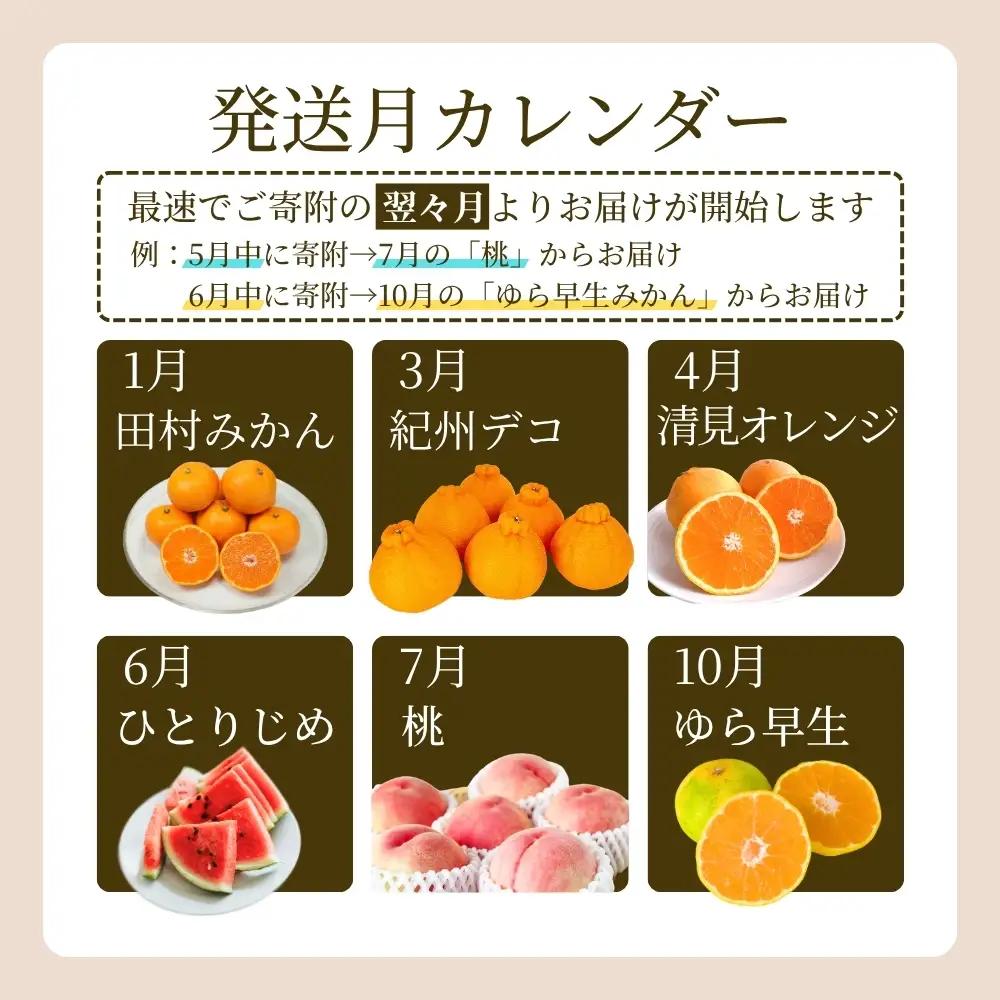 定期便【全6回/1・3・4・6・7・10月】和歌山旬のフルーツ定期便【tkb314】