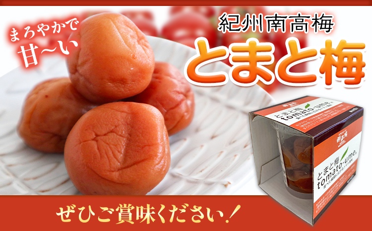南高梅 tomato-ume とまと 梅 100g×5 有限会社プラム《30日以内に出荷予定(土日祝除く)》和歌山県 日高町 送料無料 梅 うめ ウメ 南高梅 紀州 トマト梅 送料無料