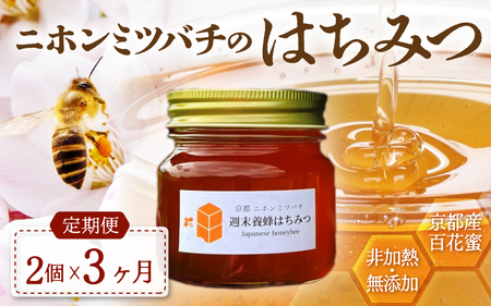 【定期便】 ニホンミツバチのはちみつ 600g×3回 | 蜂蜜 はちみつ ハチミツ 百花蜜