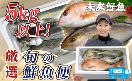 鮮魚 5kg～ 鮮魚ボックス 詰め合わせ 刺身 刺し身 さしみ 鮮度抜群 産地直送 高知県産