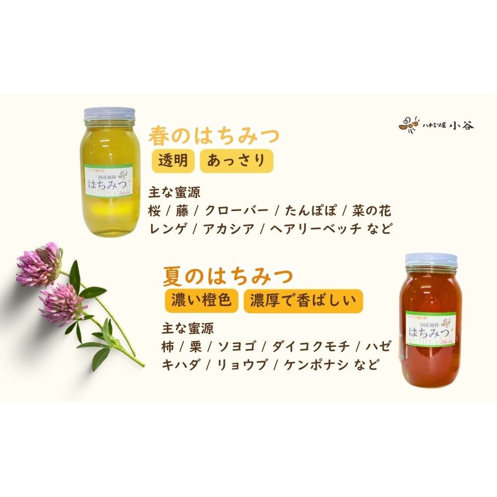 はちみつ 春セット／ 国産 純粋 蜂蜜 ハチミツ ハニー 非加熱 無精製 贈答用 贈り物 ハチミツ屋小谷 奈良県 宇陀市 ふるさと納税_イメージ4