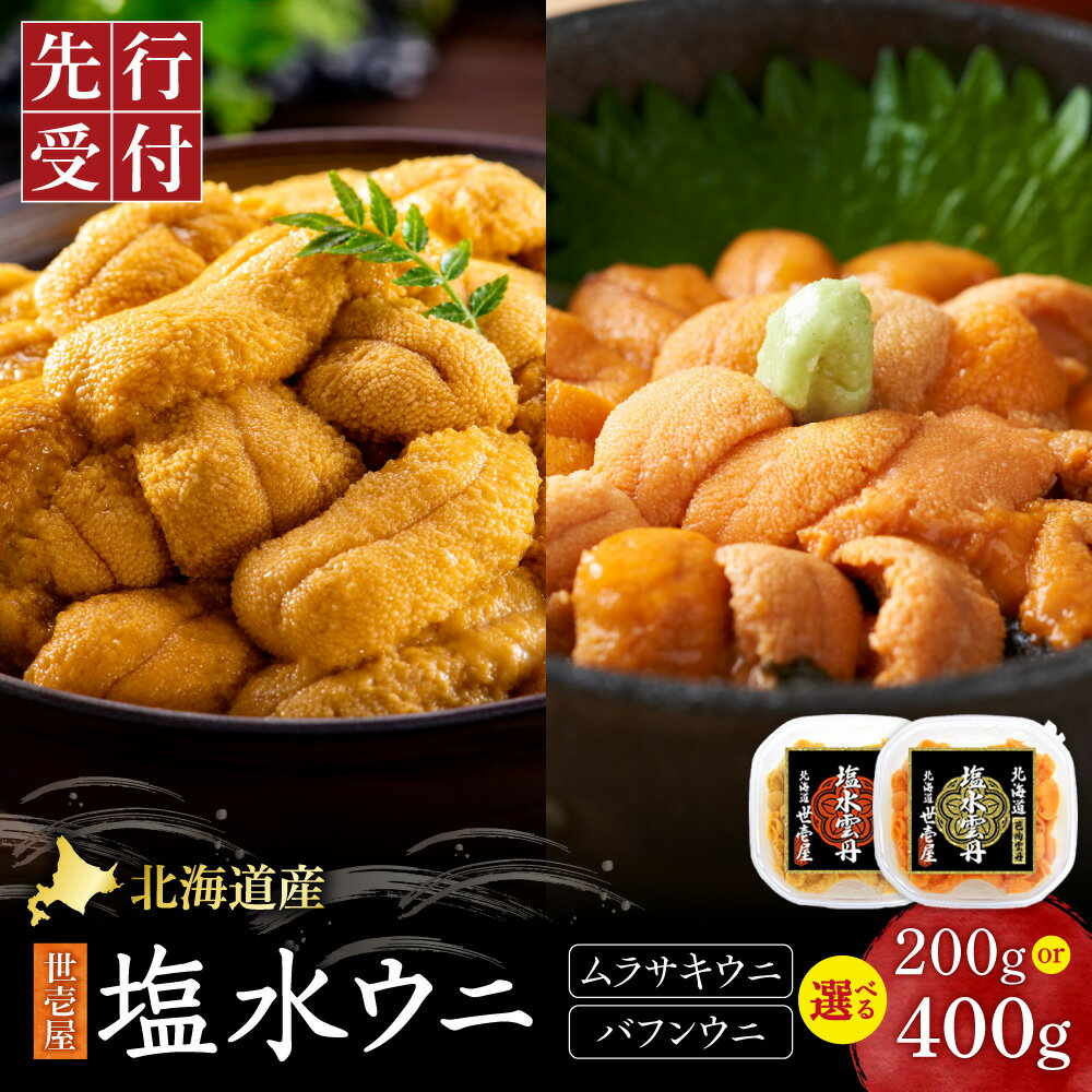 【ふるさと納税】 【先行予約】 北海道産 塩水 ウニ 2種 【 選べる 容量 】 ムラサキウニ バフンウニ 無添加 食べ比べ 各1箱 計200g 各2箱 計400g うに 雲丹 うに専門店 世壱屋 ミョウバン不使用 海鮮 濃厚 ギフト 水産 海産 魚介 お取り寄せ 北海道 札幌市