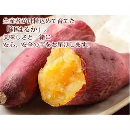 訳あり紅はるか 約5kg(益城町)【1586575】
