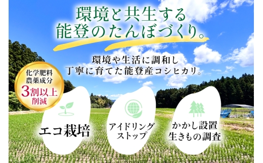米 令和8年 のと米 能登こしひかり 30kg 3回 定期便 [能登わかば農業協同組合 石川県 中能登町 nk17bth130017] 令和8年産 新米 こしひかり コシヒカリ 定期 3ヶ月 30キロ