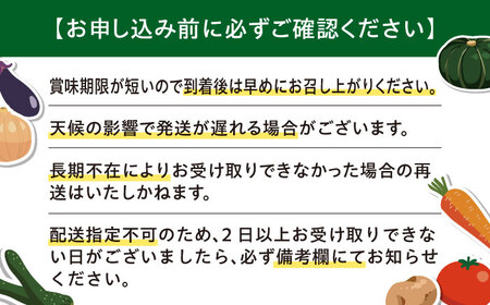 【2026年7月下旬以降順次発送】【ニセコ町産】 赤肉＆青肉メロンセット 大玉2玉 《喜茂別町》【ニセコビュープラザ直売会協同組合】 メロン 化粧箱入り フルーツ 果物 赤肉 先行予約 常温 常温配送