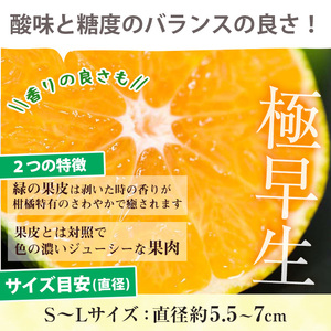 ＜先行予約・ 数量限定＞ 極早生 温州みかん 5kg 箱満杯バラ詰め！S～Lサイズ 【A-1982H】