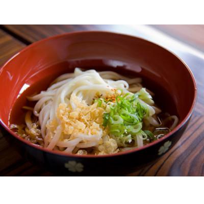 ふるさと納税 与謝野町 へじや製麺のうどん生麺10食セット 細麺タイプ　ぶっかけ(冷)用特製だしつゆ付 |  | 02