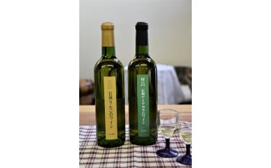 【ふるさと納税】伊那ワイン工房　ワイン2本セット（信州ナイアガラと信州リンゴのワイン）｜伊那 ワイン お酒 アルコール 飲料 信州 ナイアガラ リンゴ 果実酒 フルーツワイン 飲み比べ ふるさと納税 長野県