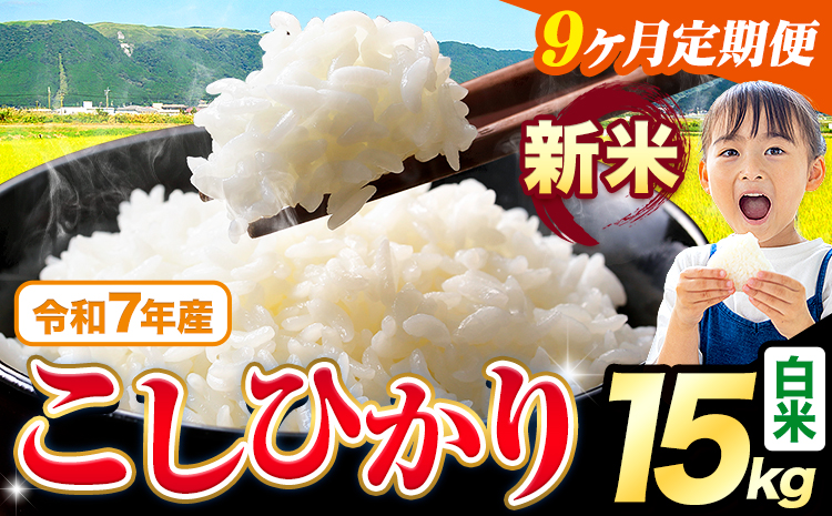 【9ヶ月定期便】令和7年産 新米 白米 こしひかり 15kg《お申込みの翌月出荷》熊本県産 ふるさと納税 白米 精米 ひの 米 こめ ふるさとのうぜい コシヒカリ コメ お米 おこめ---reihoku_loc_334_mo9---