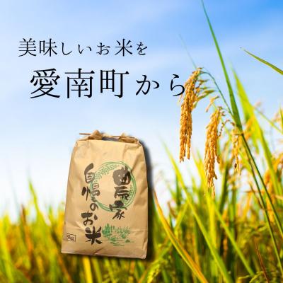 ふるさと納税 愛南町 【先行予約】 令和8年度産 新米 ヒノヒカリ 10kg 愛媛県 愛南町 愛南町青果市場 |  | 01