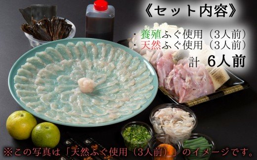 贅沢な食べ比べ！みつごの天然＆養殖とらふぐセット（計6人前）［養殖＆天然とらふぐ各1セット］