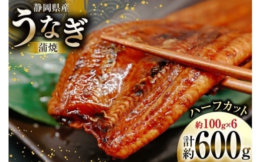 
うなぎ 国産 静岡 うなぎ蒲焼 ハーフカット 100g ×6 計600g [静岡鰻販売 静岡県 吉田町 22424172] 鰻 ウナギ うなぎ蒲焼き うなぎ蒲焼 真空パック 冷凍 蒲焼 肉厚 ふっくら 静岡県産
