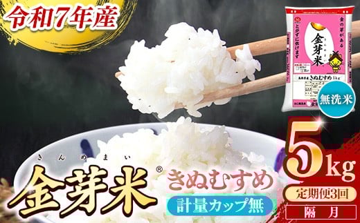 【定期便】BG無洗米・金芽米きぬむすめ 5kg×3回  （隔月）計量カップ無し【令和7年産 2ヶ月に1回 6ヶ月 計15kg 東洋ライス 健康 島根県 安来市】
