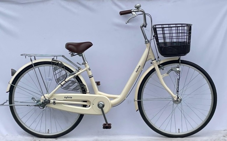 貸自転車 1日 レンタル ペアチケット　｜hg000985