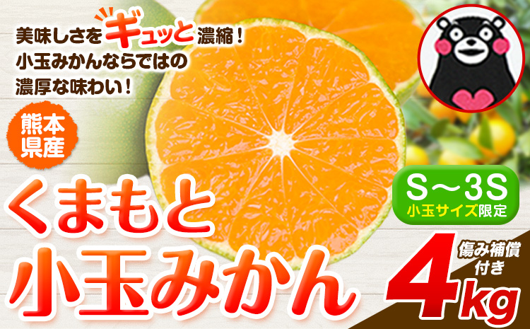 最短7日発送！ 訳あり みかん 小玉みかん くまもと小玉みかん 4kg  秋 旬 不揃い 傷 ご家庭用 SDGs 小玉 たっぷり 熊本県 産 S-3Sサイズ フルーツ 旬 柑橘 熊本県産 温州みかん《7-14日以内に出荷予定(土日祝除く)》 早く届く---gkt_mkn_24_wx_8000_4kg---