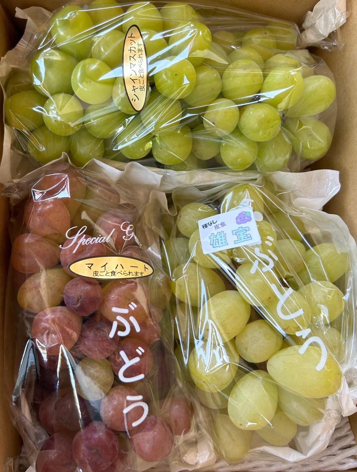 皮ごと食べられる！種無しぶどう詰め合わせプレミアムセット(完熟シャインマスカット・雄宝・マイハート) 2kg 232238_BB33