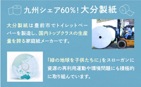 【細穴タイプ】トイレットペーパー ダブル 長巻き 65m 6ロール×8パック エコ  コアレス《豊前市》【大分製紙】[VAA018] トイレットペーパー トイレットペーパーダブル エコトイレットペーパ