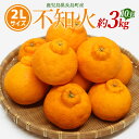 【ふるさと納税】不知火 2Lサイズ 10玉入り約3kg【山上農園】yamagami-775