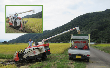 米 令和7年 関口さんちのお米 コシヒカリ 5kg お米 こめ コメ 精米 白米 ご飯 こしひかり 長野 信州